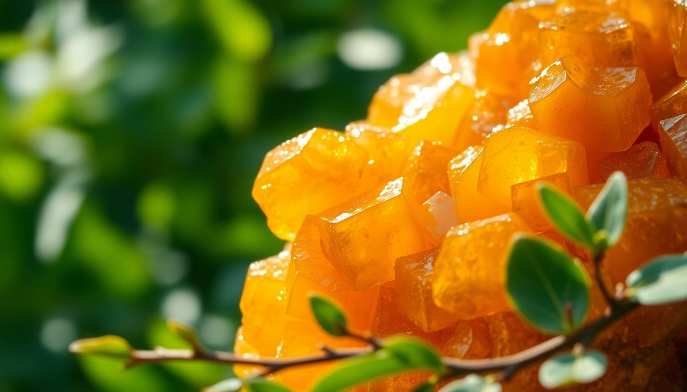 The Rich History and Benefits of Benjoin: Nature’s Aromatic Resin